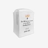 Urna per cremazione in porcellana - 6L